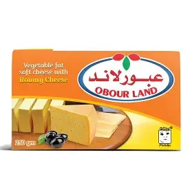 عبورلاند بطعم الجبنة الرومى 250جم