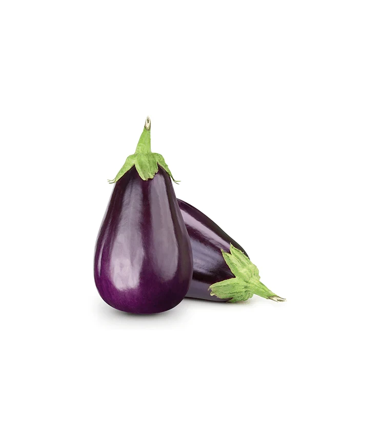 باذنجان