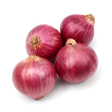 بصل