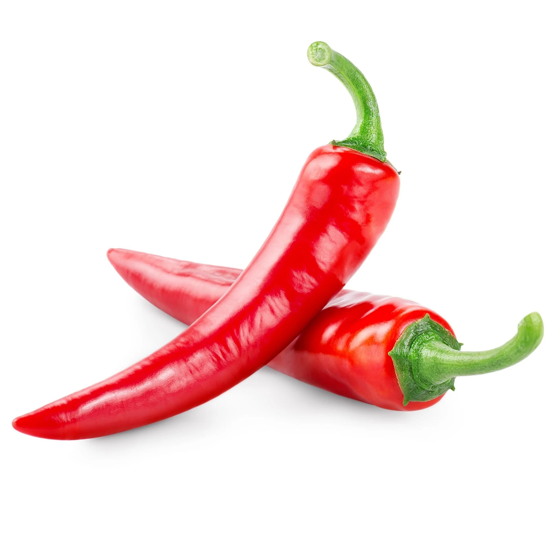 شطة