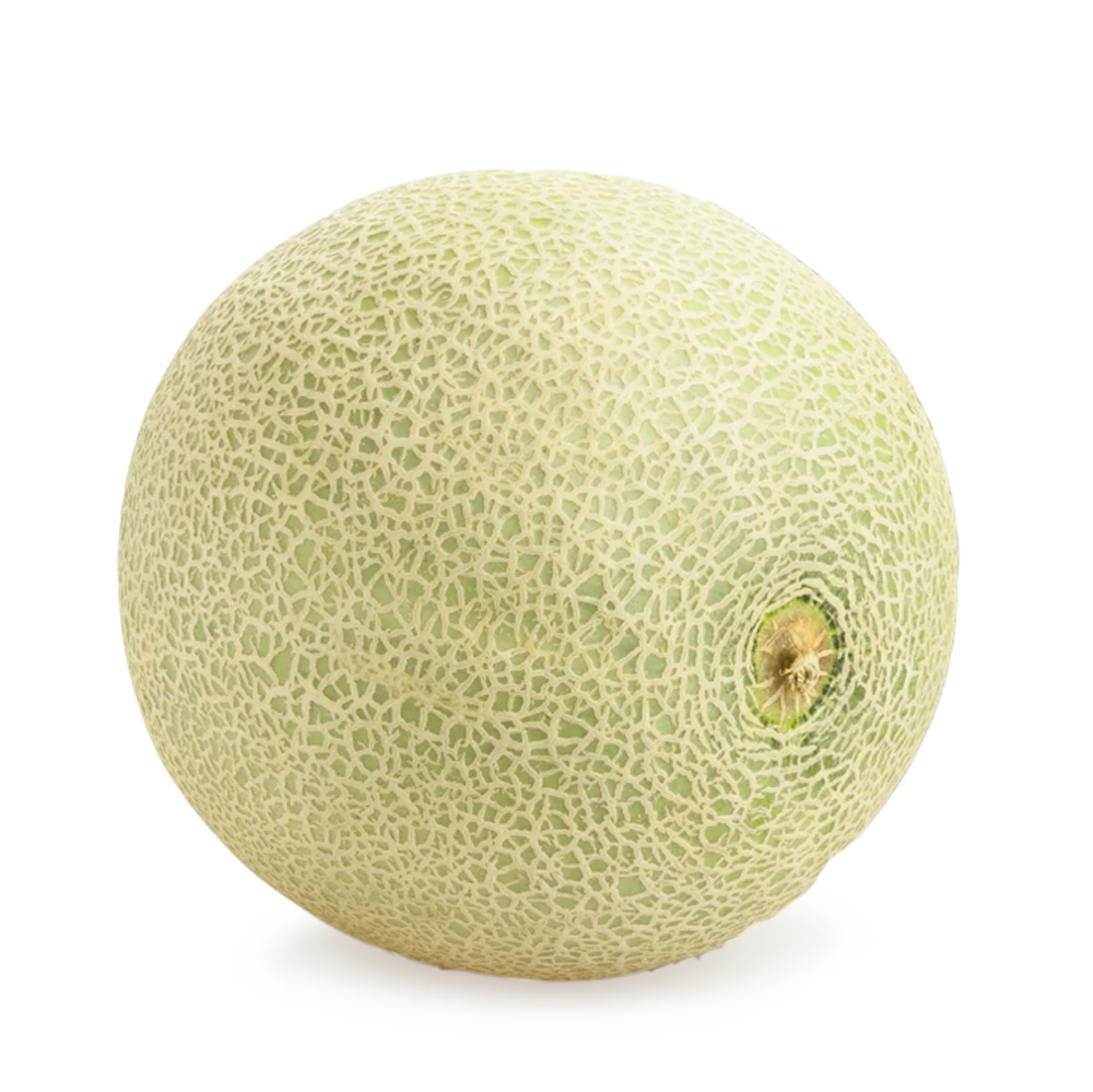 كنتالوب