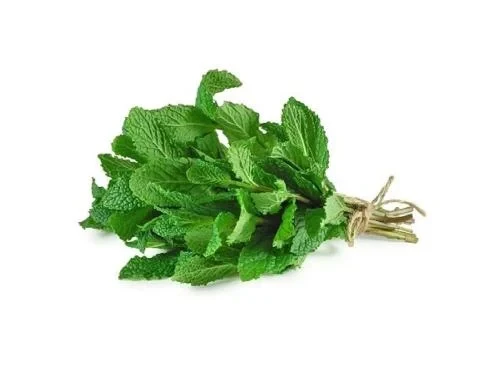 نعناع