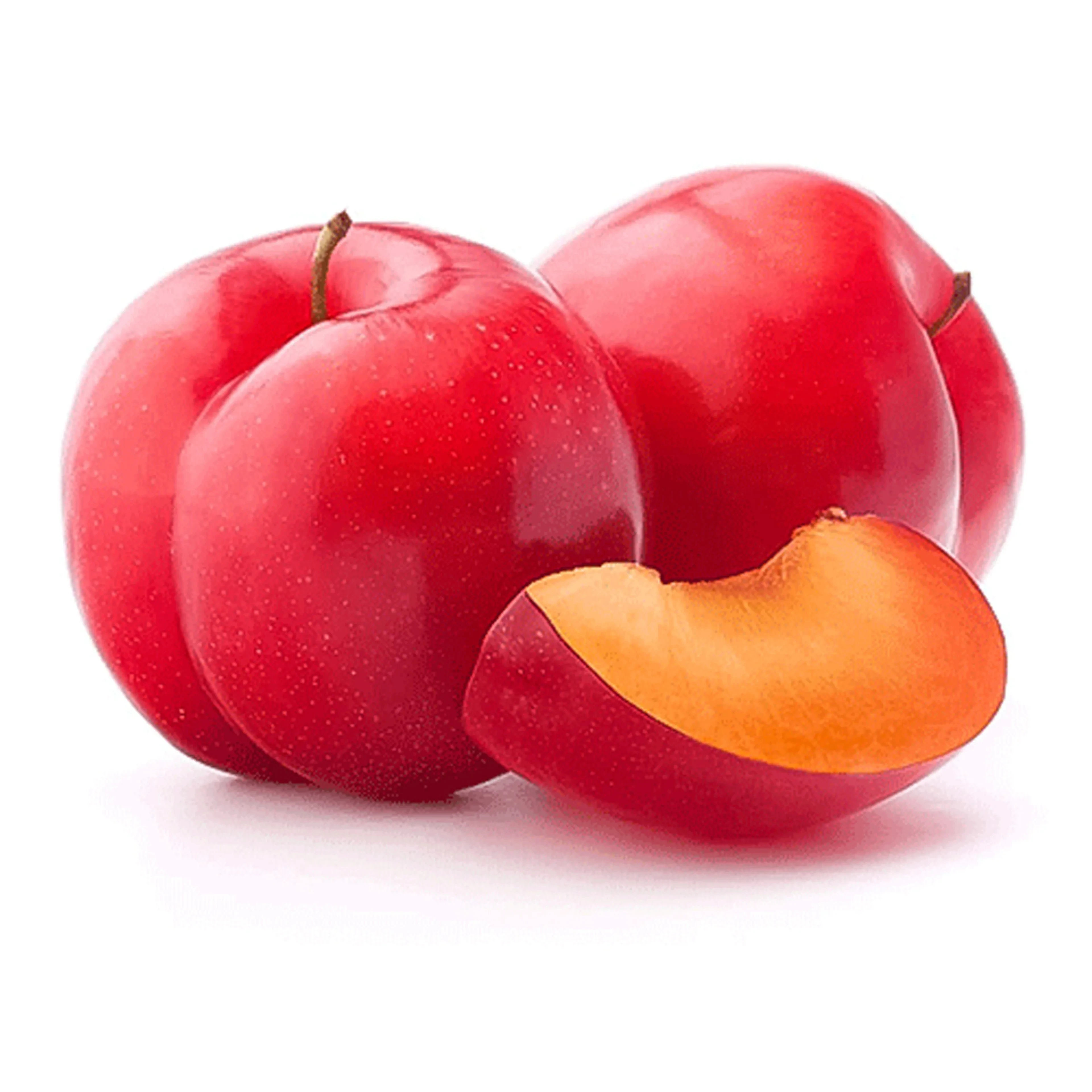 برقوق أحمر