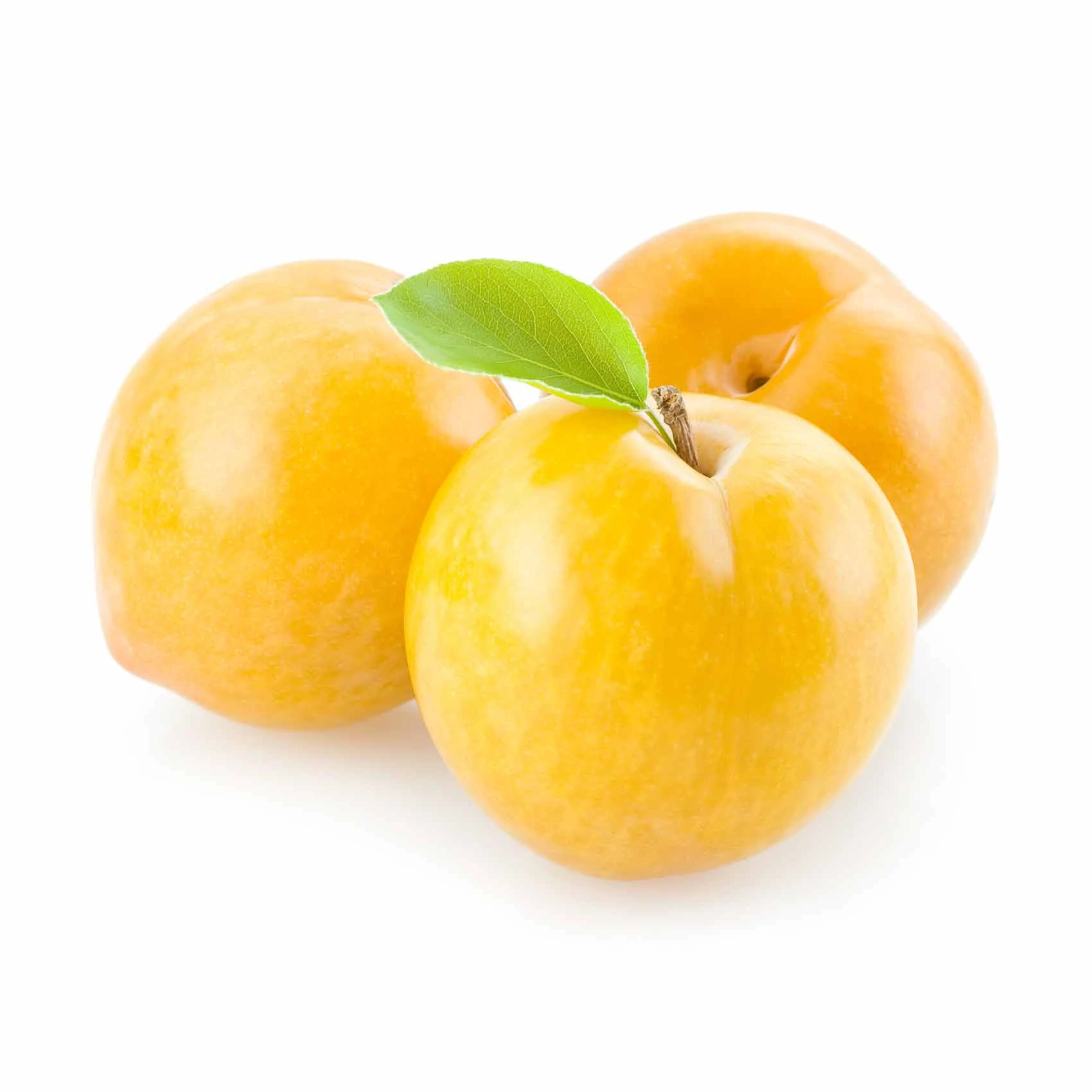 برقوق أصفر